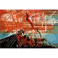 Pink Floyd 12